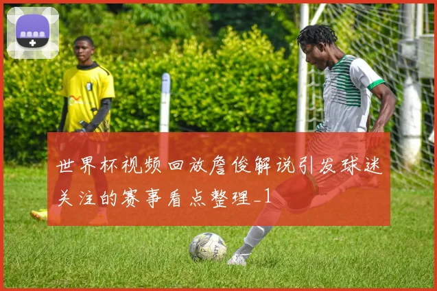 世界杯视频回放詹俊解说引发球迷关注的赛事看点整理_1