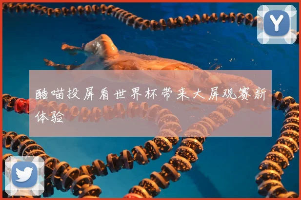 酷喵投屏看世界杯带来大屏观赛新体验