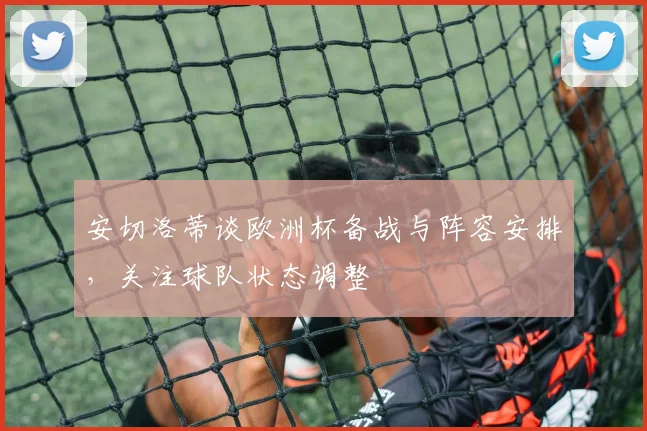 安切洛蒂谈欧洲杯备战与阵容安排,关注球队状态调整