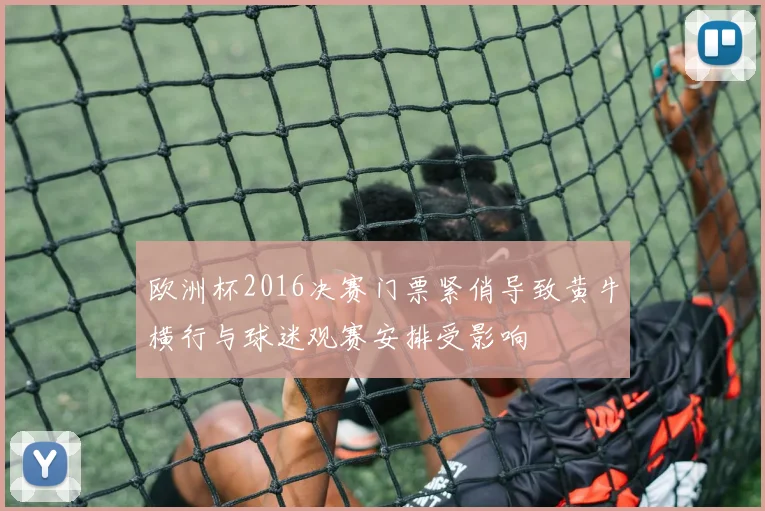 欧洲杯2016决赛门票紧俏导致黄牛横行与球迷观赛安排受影响