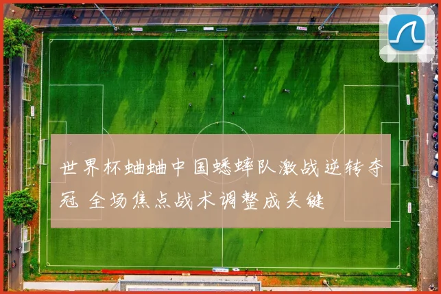 世界杯蛐蛐中国蟋蟀队激战逆转夺冠 全场焦点战术调整成关键