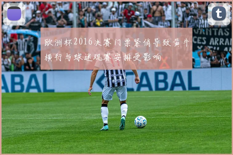 欧洲杯2016决赛门票紧俏导致黄牛横行与球迷观赛安排受影响