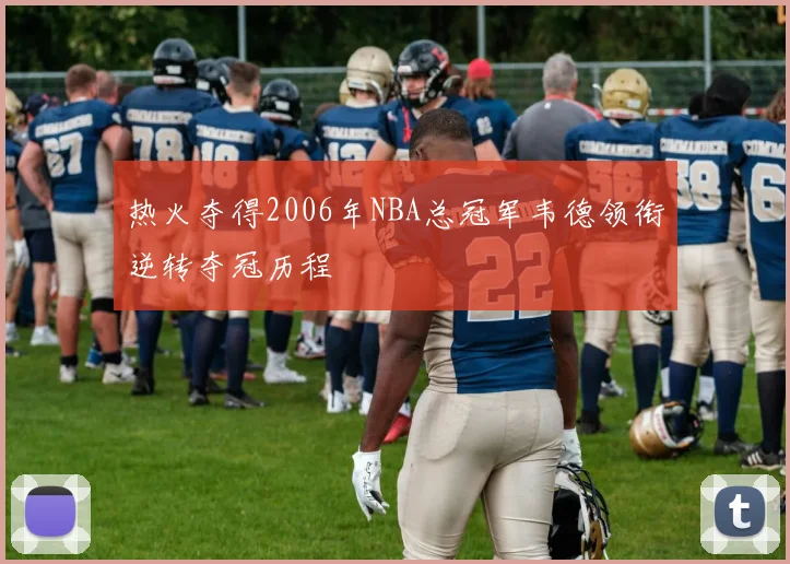 热火夺得2006年NBA总冠军韦德领衔逆转夺冠历程