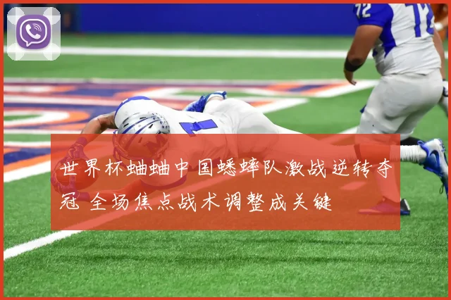 世界杯蛐蛐中国蟋蟀队激战逆转夺冠 全场焦点战术调整成关键